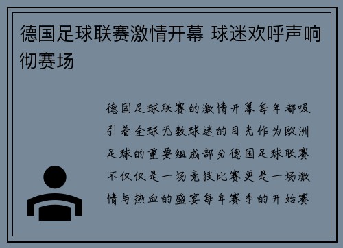 德国足球联赛激情开幕 球迷欢呼声响彻赛场