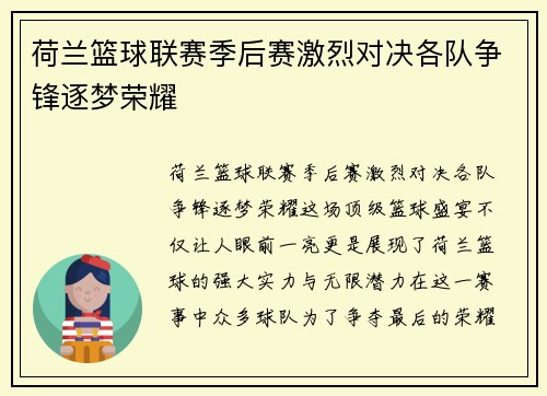 荷兰篮球联赛季后赛激烈对决各队争锋逐梦荣耀